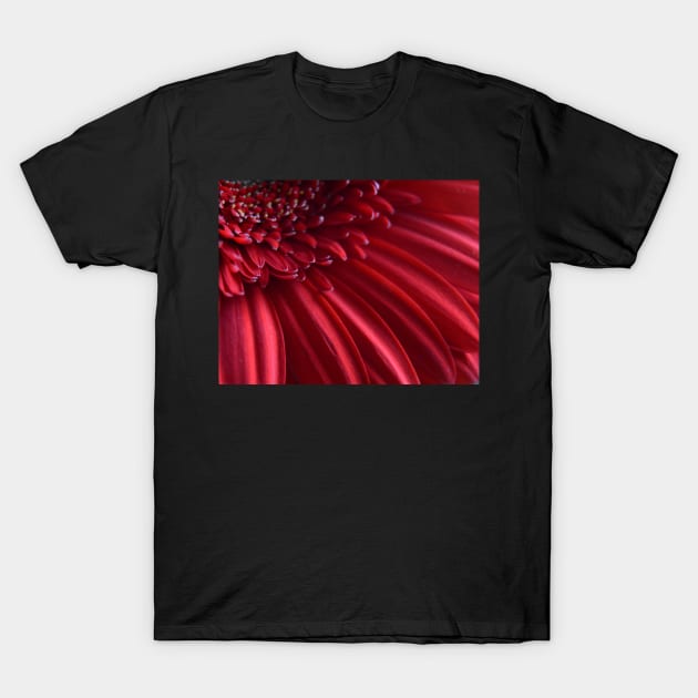 Red Flower T-Shirt by Whisperingpeaks